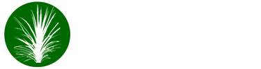 sandbraes logo WHITE